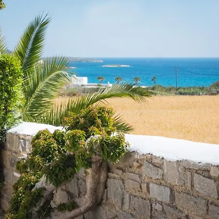 Navi B1 Brand New 2b/d In Naousa